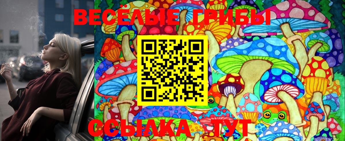 Галлюциногенные грибы Psilocybine cubensis Феодосия